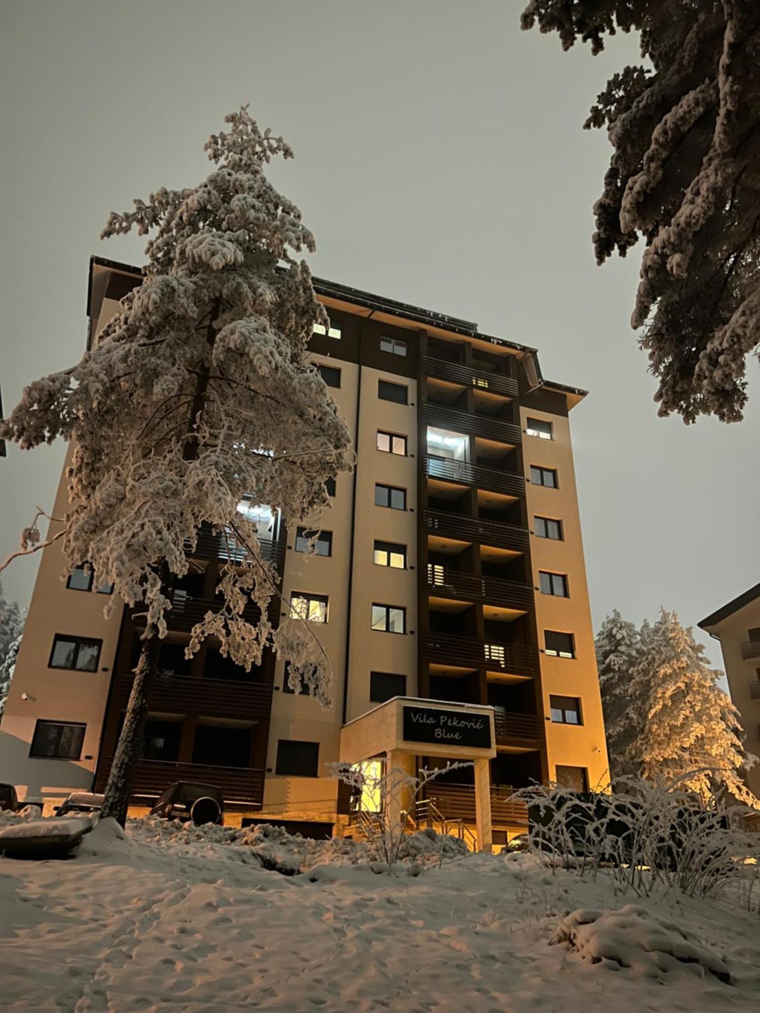 Apartment Terra Mons Zlatibor